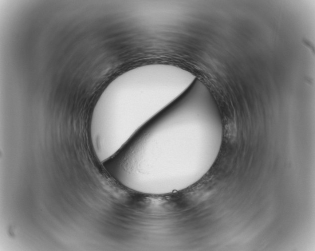X0000096410662200801241027