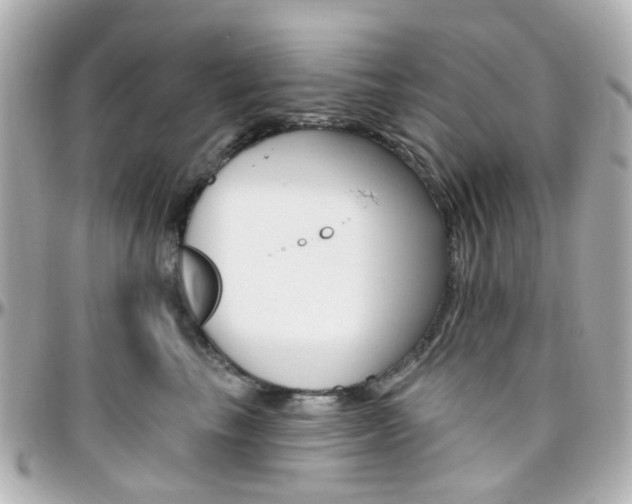 X0000096410665200801241027