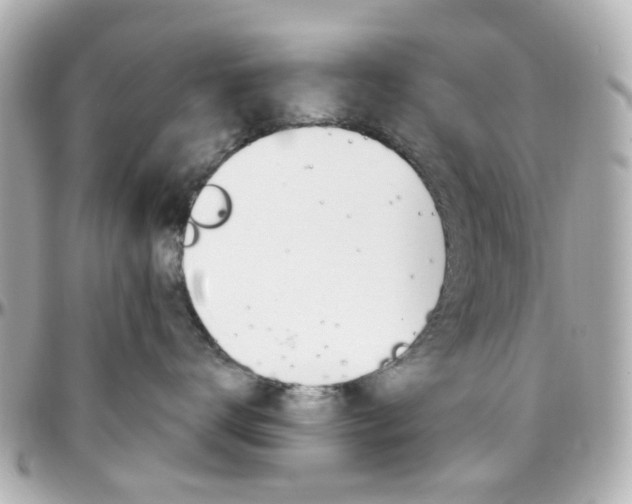 X0000096410672200801241027