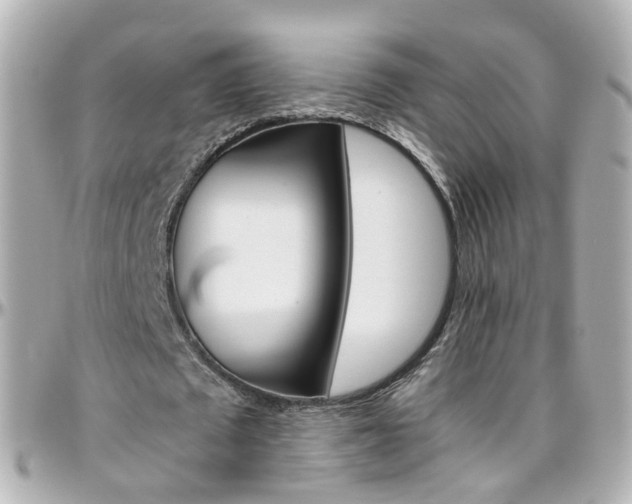 X0000096410673200801241026