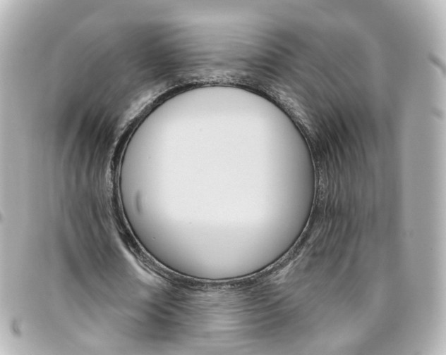 X0000096410674200801241026