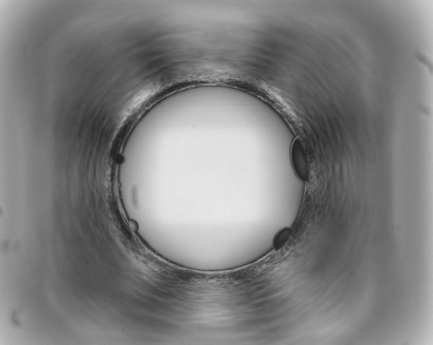X0000096410679200801241026