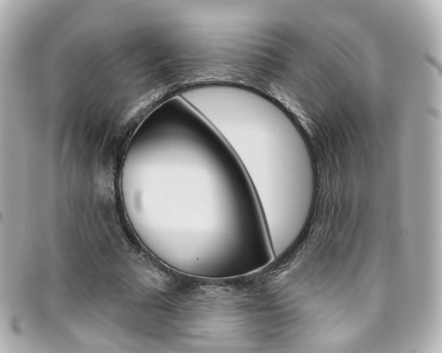 X0000096410681200801241026
