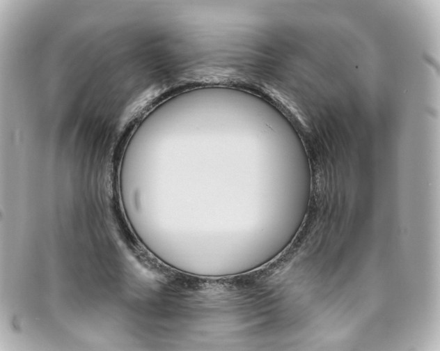 X0000096410682200801241026
