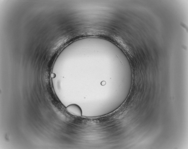 X0000096410683200801241026
