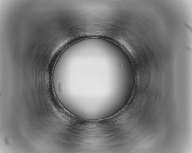 X0000096410684200801241026