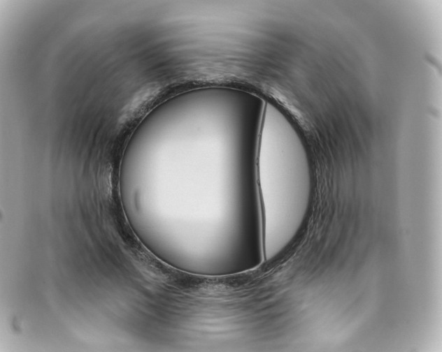 X0000096410685200801241026