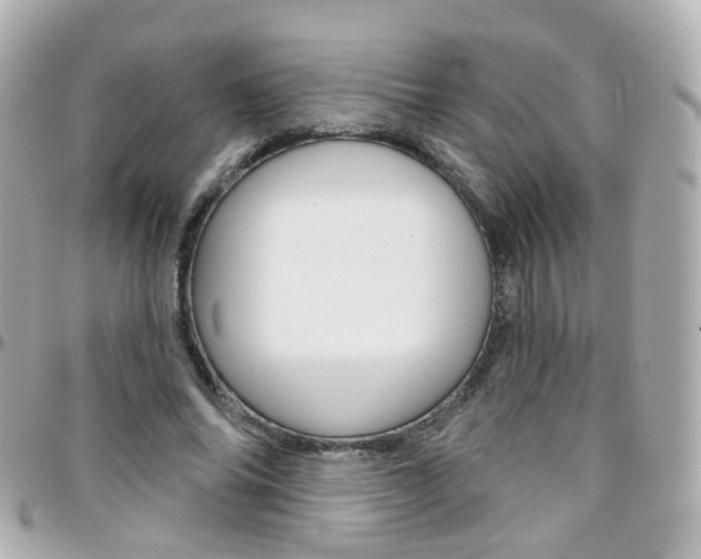 X0000096410686200801241026