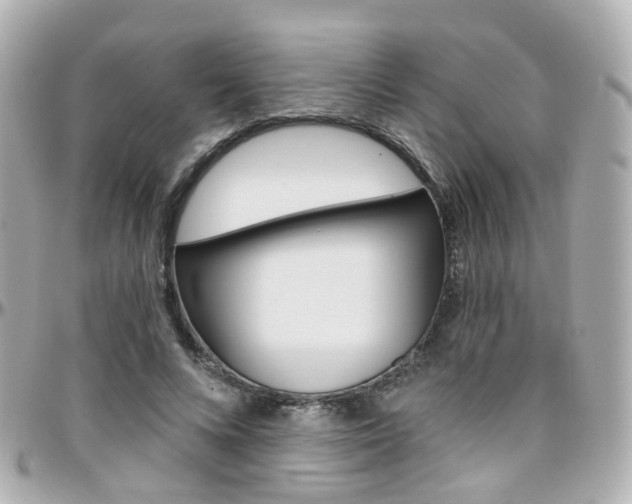 X0000096410688200801241026