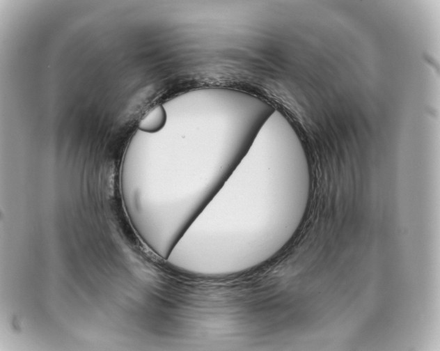 X0000096410694200801241026