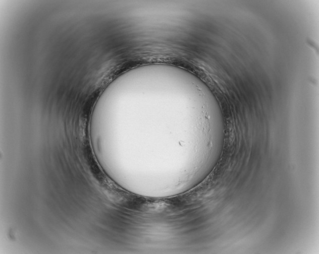 X0000096410695200801241026