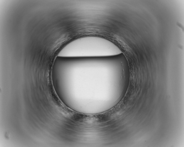 X0000096410696200801241026