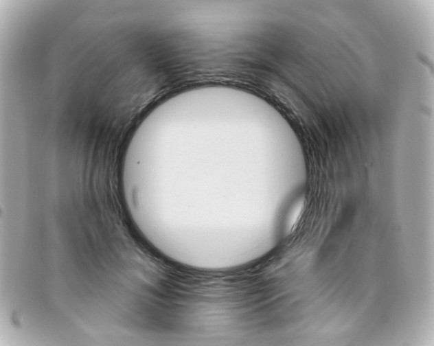 X0000096410700200801241025