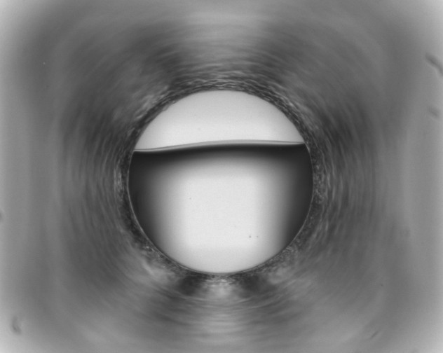 X0000096410704200801241025
