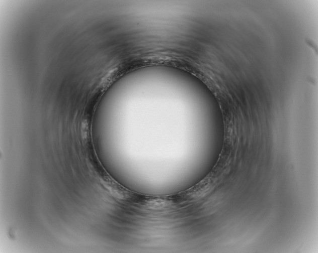 X0000096410708200801241025