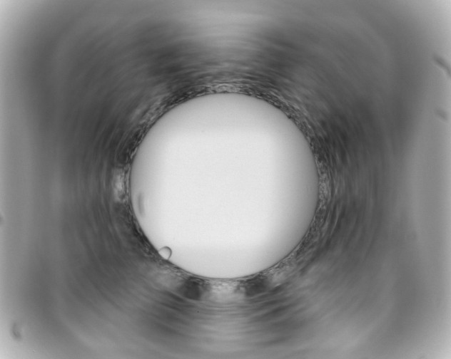 X0000096410709200801241025