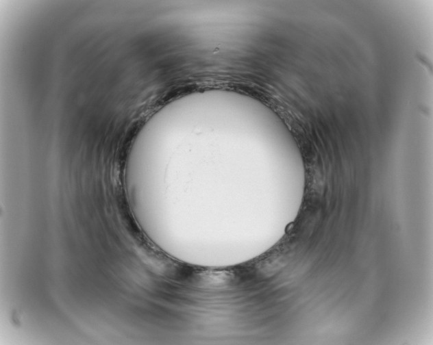 X0000096410711200801241025