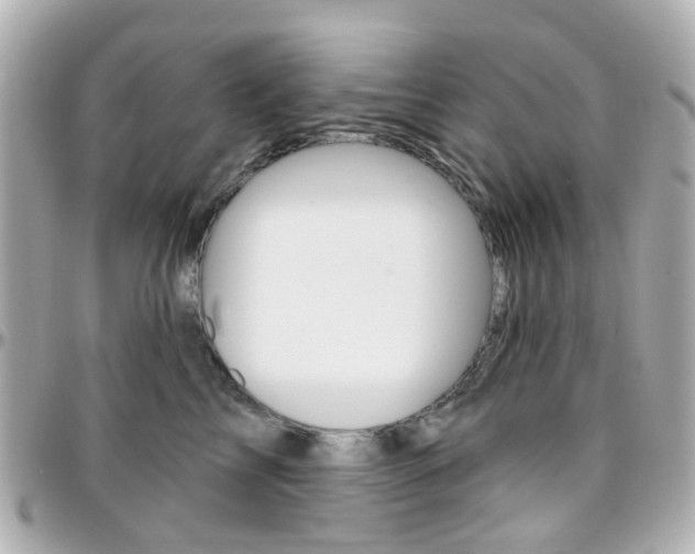 X0000096410713200801241025