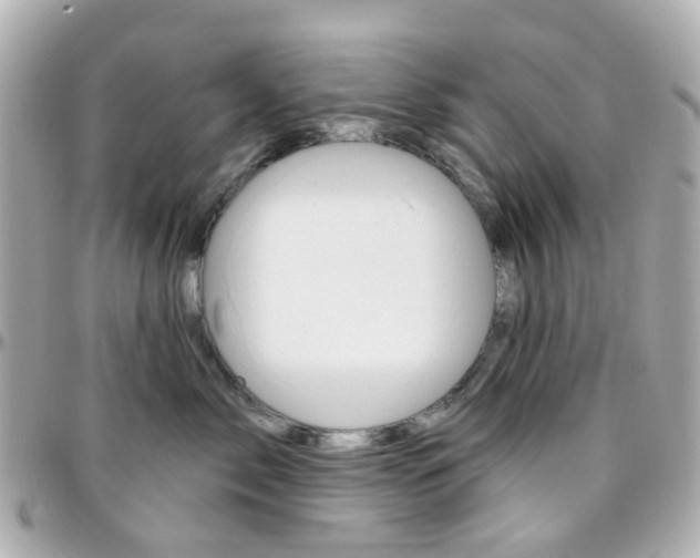 X0000096410717200801241025