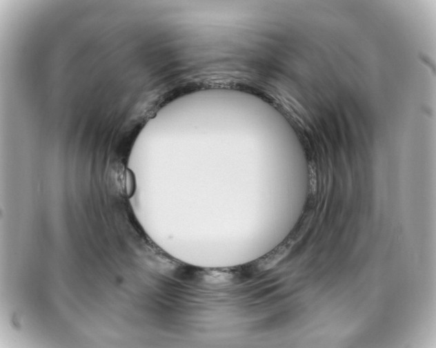X0000096410718200801241025