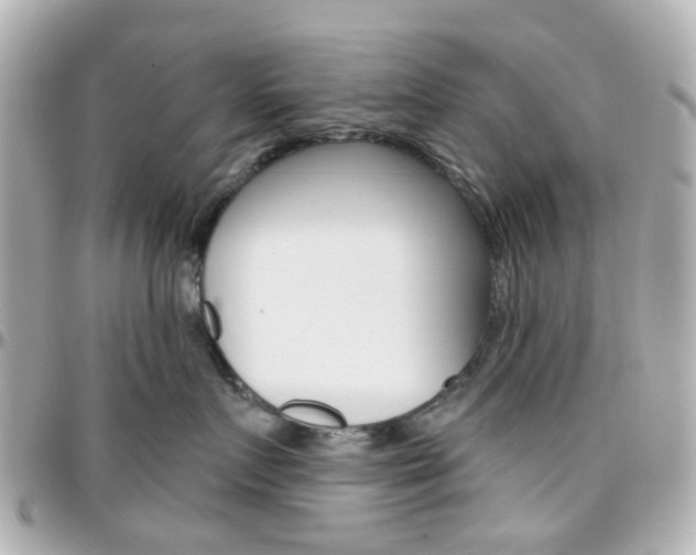 X0000096410719200801241025