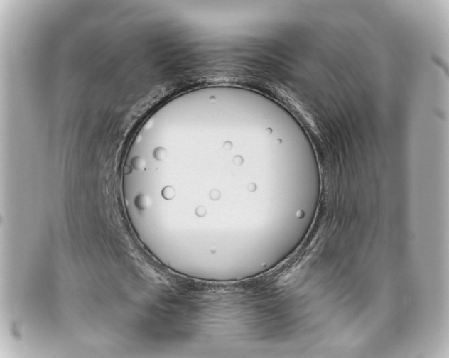 X0000096410721200801241025