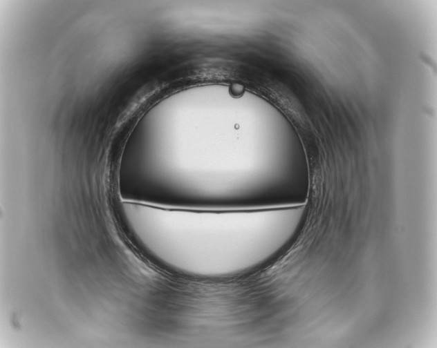 X0000096410722200801241025
