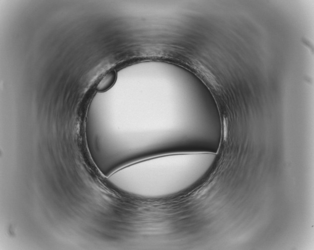 X0000096410723200801241025