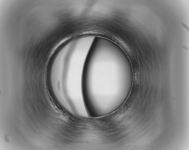 X0000096410724200801241025