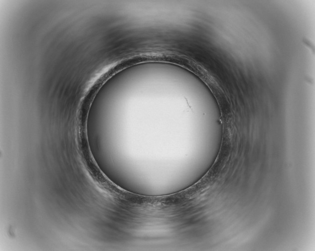 X0000096410728200801241025