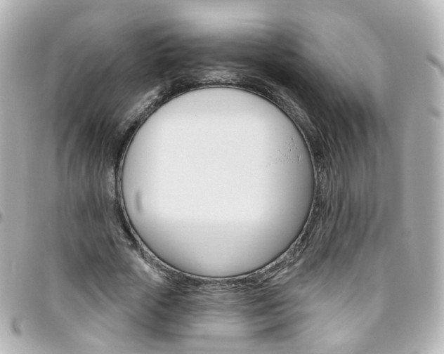 X0000096410729200801241025