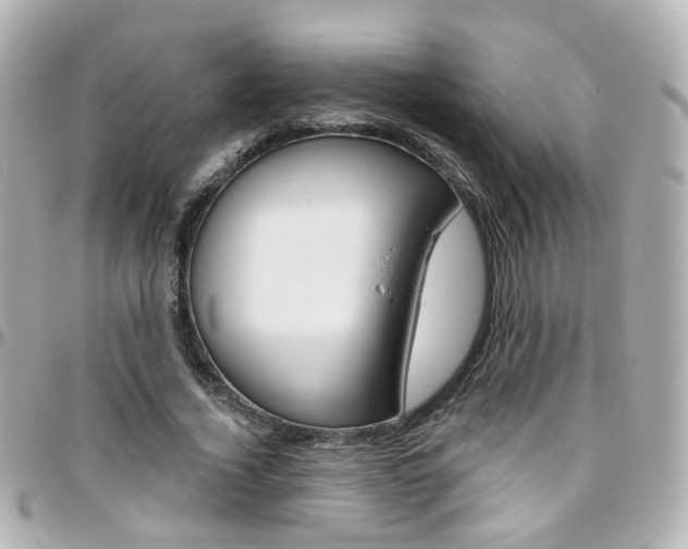 X0000096410732200801241025