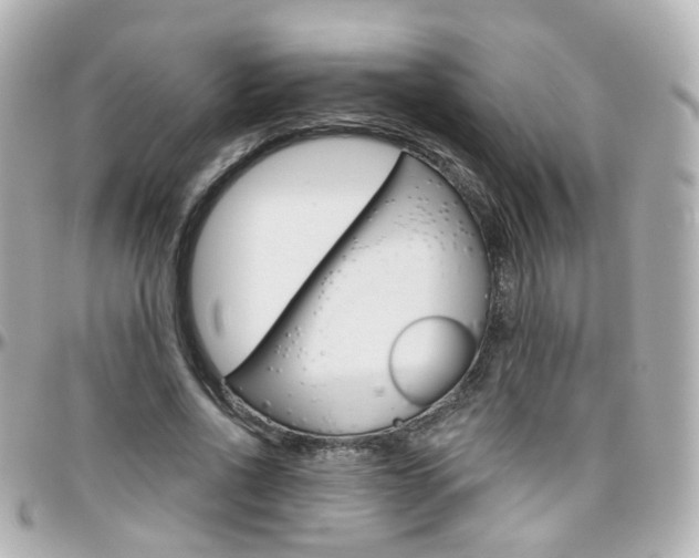 X0000096410734200801241025