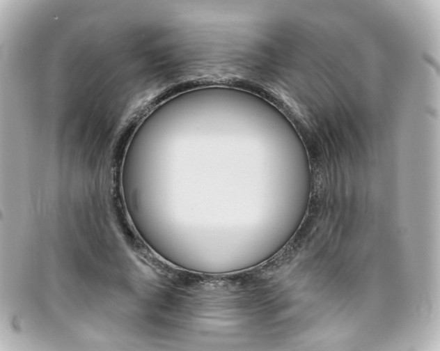 X0000096410736200801241025