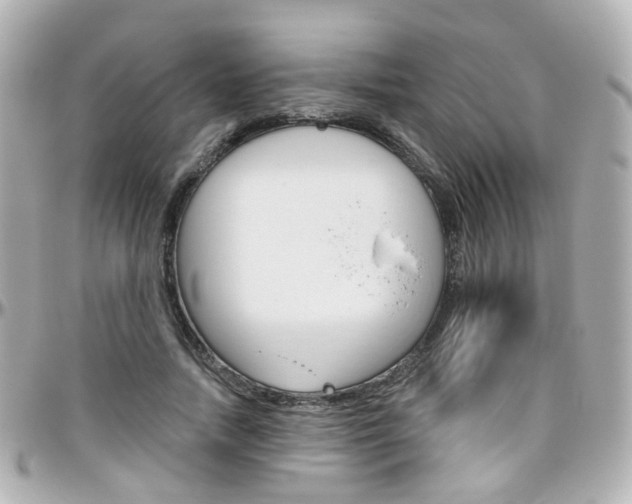X0000096410738200801241025