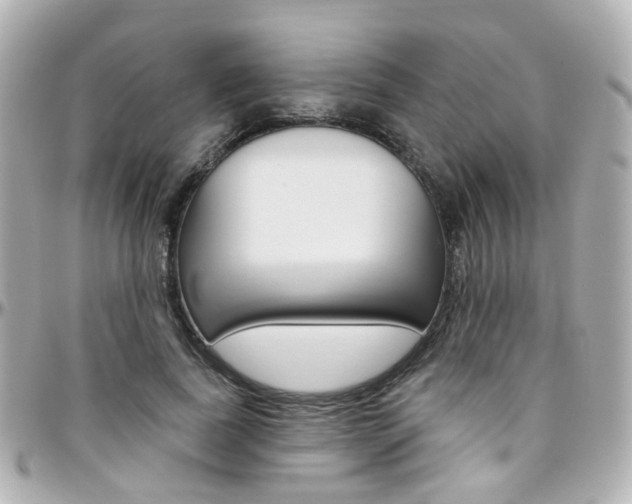 X0000096410739200801241025