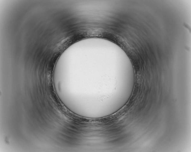X0000096410741200801241025
