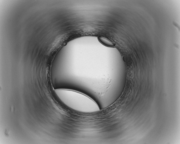 X0000096410742200801241025