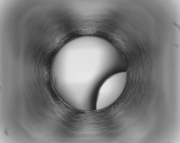 X0000096410743200801241025