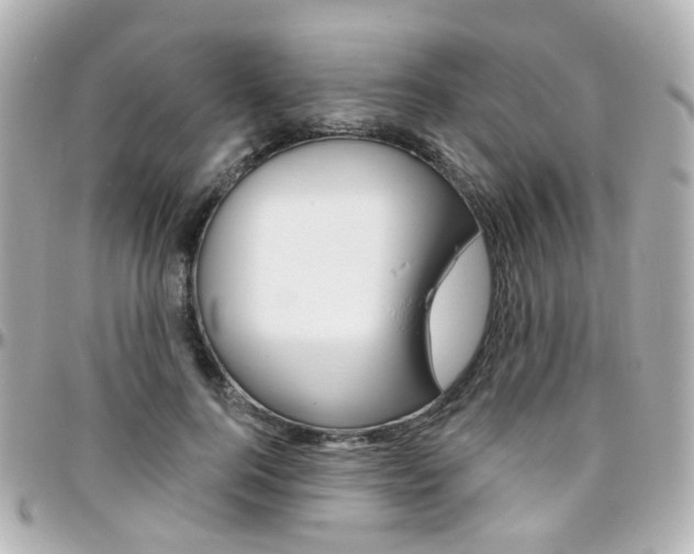 X0000096410744200801241025