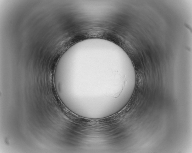 X0000096410745200801241025
