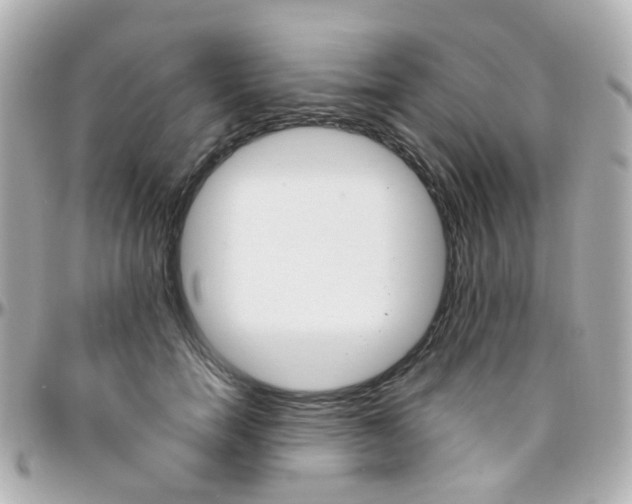 X0000096410750200801241025