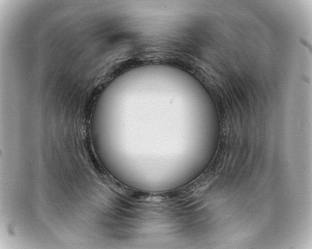 X0000096410751200801241025