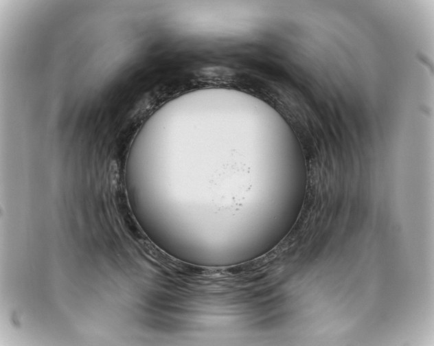 X0000096410752200801241025