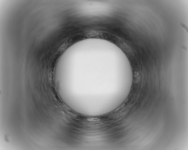 X0000096410753200801241025