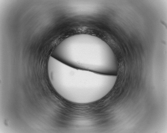 X0000096410754200801241025