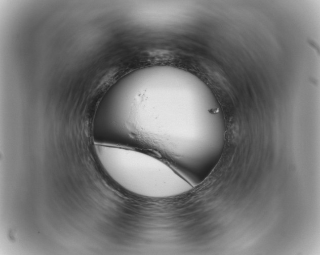 X0000096410756200801241025