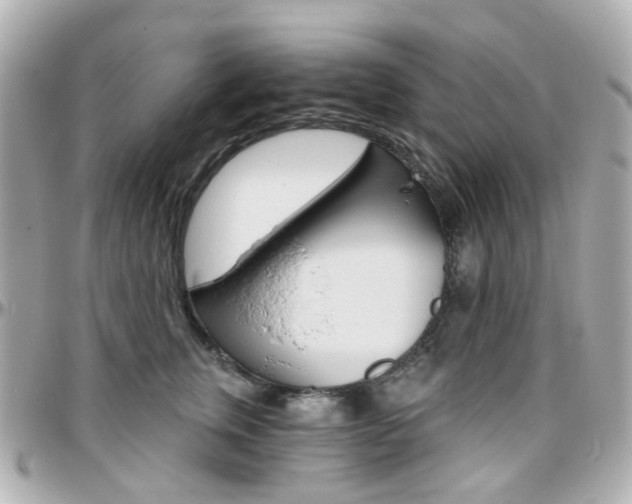 X0000096410759200801241025