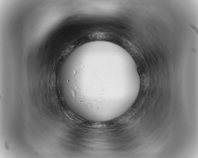 X0000096410760200801241025