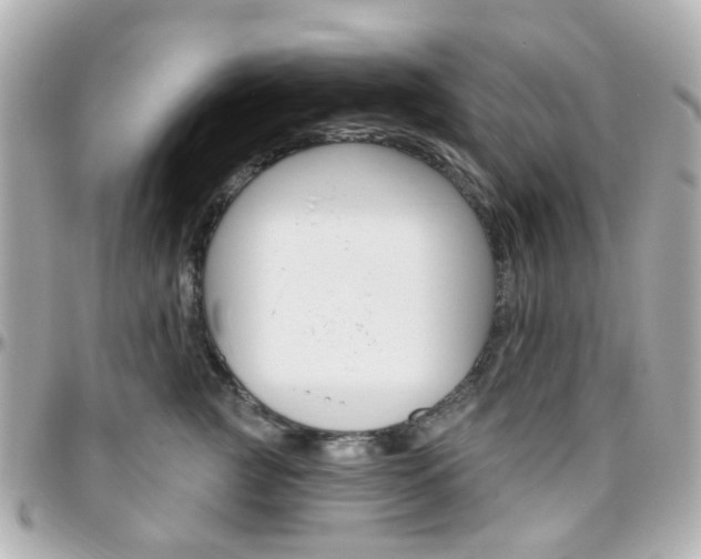 X0000096410761200801241025
